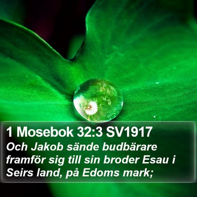 1 Mosebok 32:3 SV1917 Bible Verse Image