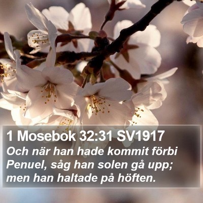 1 Mosebok 32:31 SV1917 Bible Verse Image