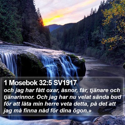 1 Mosebok 32:5 SV1917 Bible Verse Image