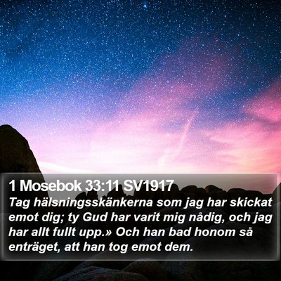 1 Mosebok 33:11 SV1917 Bible Verse Image