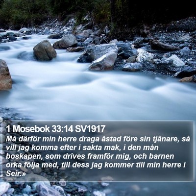 1 Mosebok 33:14 SV1917 Bible Verse Image