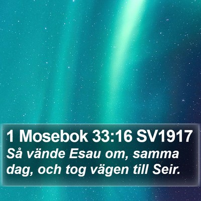 1 Mosebok 33:16 SV1917 Bible Verse Image