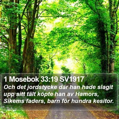1 Mosebok 33:19 SV1917 Bible Verse Image