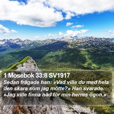 1 Mosebok 33:8 SV1917 Bible Verse Image