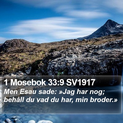 1 Mosebok 33:9 SV1917 Bible Verse Image