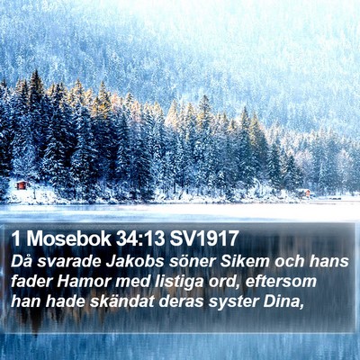 1 Mosebok 34:13 SV1917 Bible Verse Image