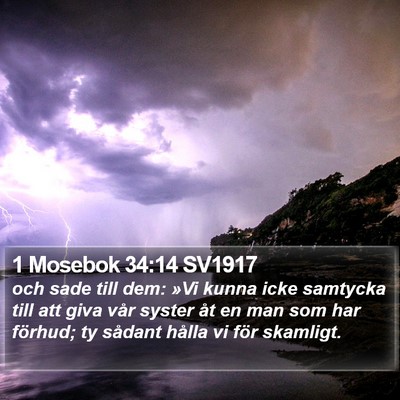 1 Mosebok 34:14 SV1917 Bible Verse Image