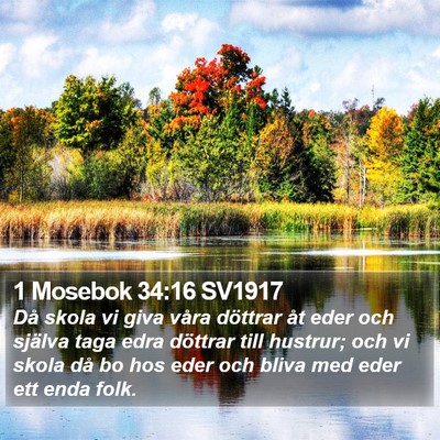 1 Mosebok 34:16 SV1917 Bible Verse Image