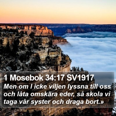 1 Mosebok 34:17 SV1917 Bible Verse Image