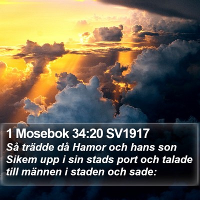 1 Mosebok 34:20 SV1917 Bible Verse Image