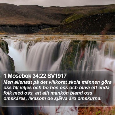 1 Mosebok 34:22 SV1917 Bible Verse Image