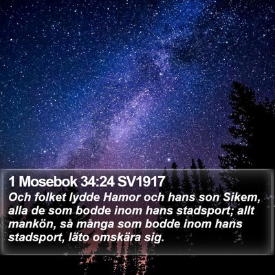 1 Mosebok 34:24 SV1917 Bible Verse Image