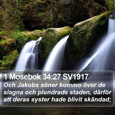 1 Mosebok 34:27 SV1917 Bible Verse Image