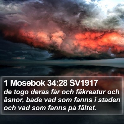 1 Mosebok 34:28 SV1917 Bible Verse Image