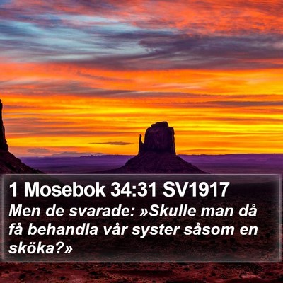 1 Mosebok 34:31 SV1917 Bible Verse Image