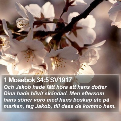 1 Mosebok 34:5 SV1917 Bible Verse Image