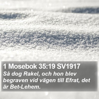 1 Mosebok 35:19 SV1917 Bible Verse Image