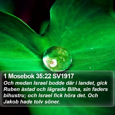 1 Mosebok 35:22 SV1917 Bible Verse Image