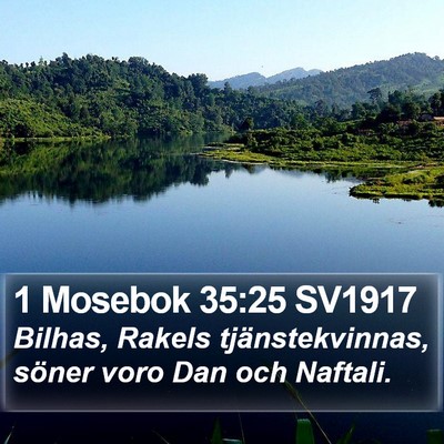 1 Mosebok 35:25 SV1917 Bible Verse Image