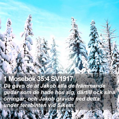 1 Mosebok 35:4 SV1917 Bible Verse Image