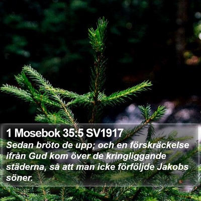 1 Mosebok 35:5 SV1917 Bible Verse Image