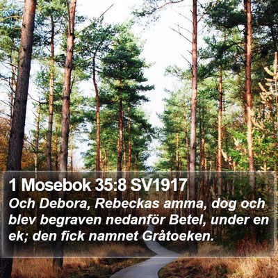 1 Mosebok 35:8 SV1917 Bible Verse Image