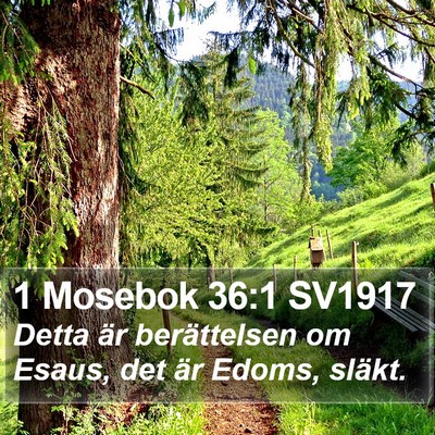 1 Mosebok 36:1 SV1917 Bible Verse Image