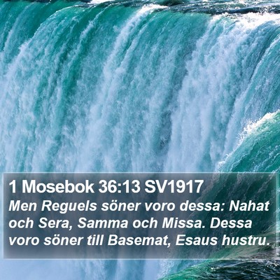 1 Mosebok 36:13 SV1917 Bible Verse Image