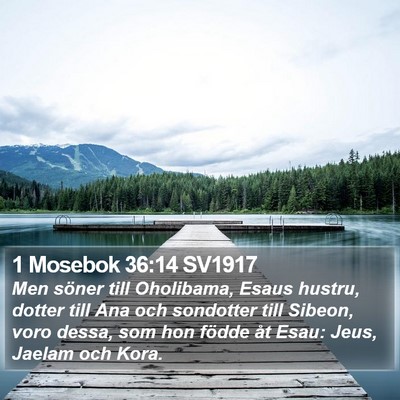 1 Mosebok 36:14 SV1917 Bible Verse Image