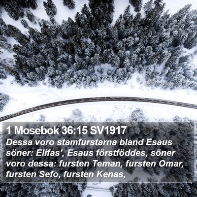 1 Mosebok 36:15 SV1917 Bible Verse Image