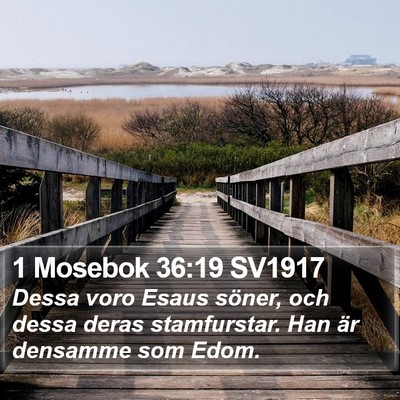 1 Mosebok 36:19 SV1917 Bible Verse Image
