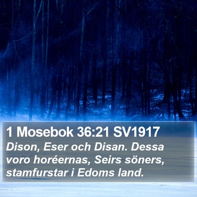 1 Mosebok 36:21 SV1917 Bible Verse Image