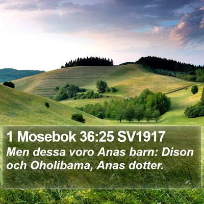 1 Mosebok 36:25 SV1917 Bible Verse Image