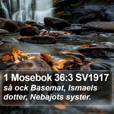 1 Mosebok 36:3 SV1917 Bible Verse Image