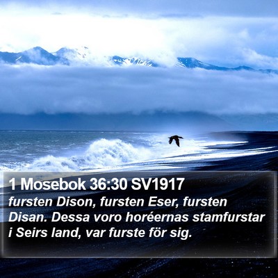 1 Mosebok 36:30 SV1917 Bible Verse Image