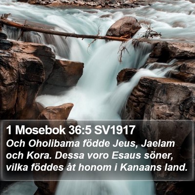 1 Mosebok 36:5 SV1917 Bible Verse Image