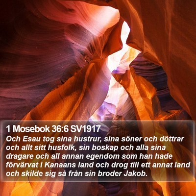 1 Mosebok 36:6 SV1917 Bible Verse Image