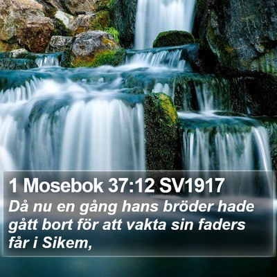 1 Mosebok 37:12 SV1917 Bible Verse Image