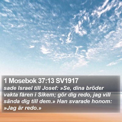 1 Mosebok 37:13 SV1917 Bible Verse Image