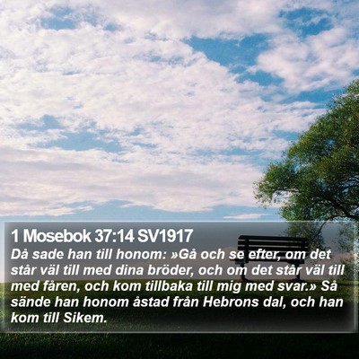 1 Mosebok 37:14 SV1917 Bible Verse Image