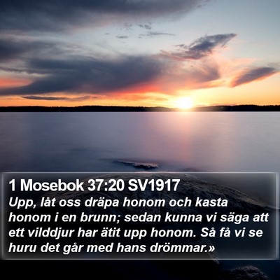 1 Mosebok 37:20 SV1917 Bible Verse Image
