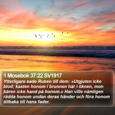 1 Mosebok 37:22 SV1917 Bible Verse Image