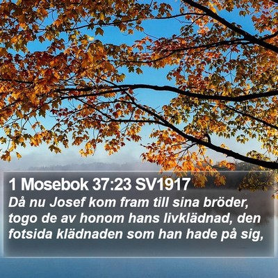 1 Mosebok 37:23 SV1917 Bible Verse Image