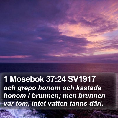 1 Mosebok 37:24 SV1917 Bible Verse Image