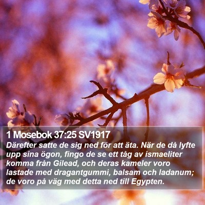 1 Mosebok 37:25 SV1917 Bible Verse Image