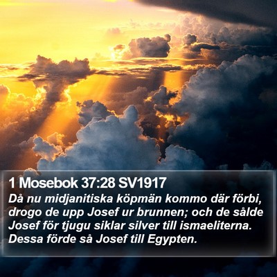 1 Mosebok 37:28 SV1917 Bible Verse Image