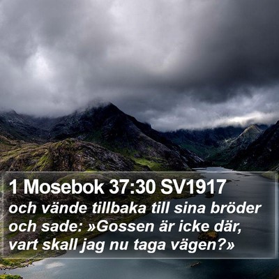 1 Mosebok 37:30 SV1917 Bible Verse Image