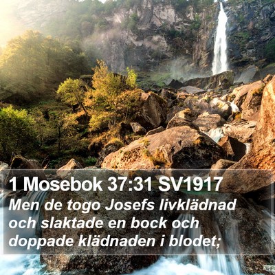 1 Mosebok 37:31 SV1917 Bible Verse Image