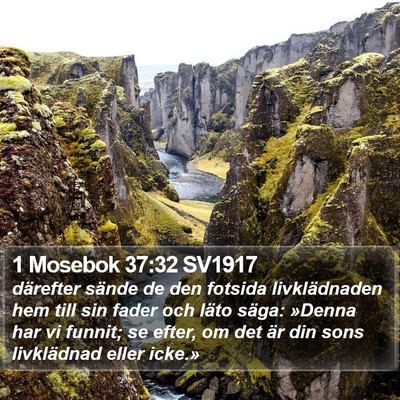 1 Mosebok 37:32 SV1917 Bible Verse Image