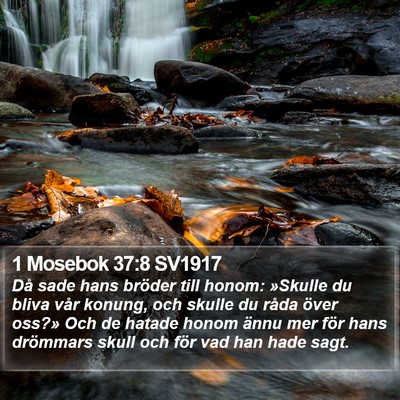1 Mosebok 37:8 SV1917 Bible Verse Image